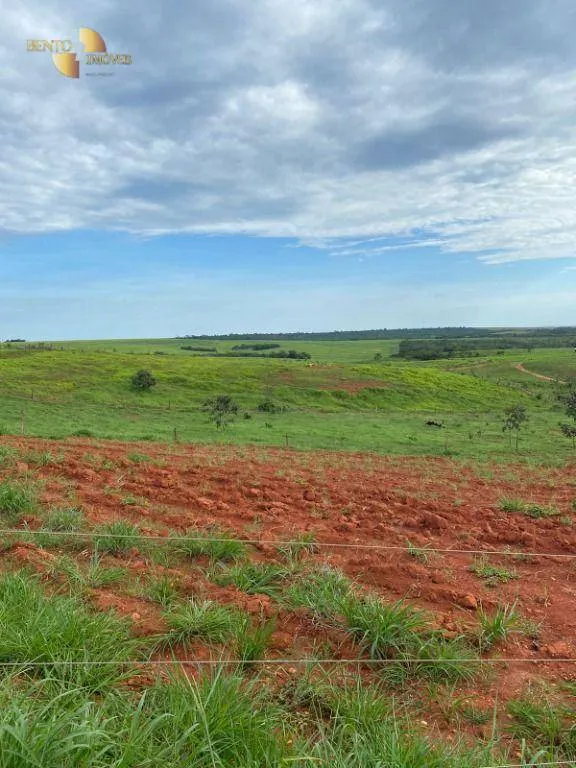 Farm for sale of 741 acres in Diamantino, MT, Brazil
