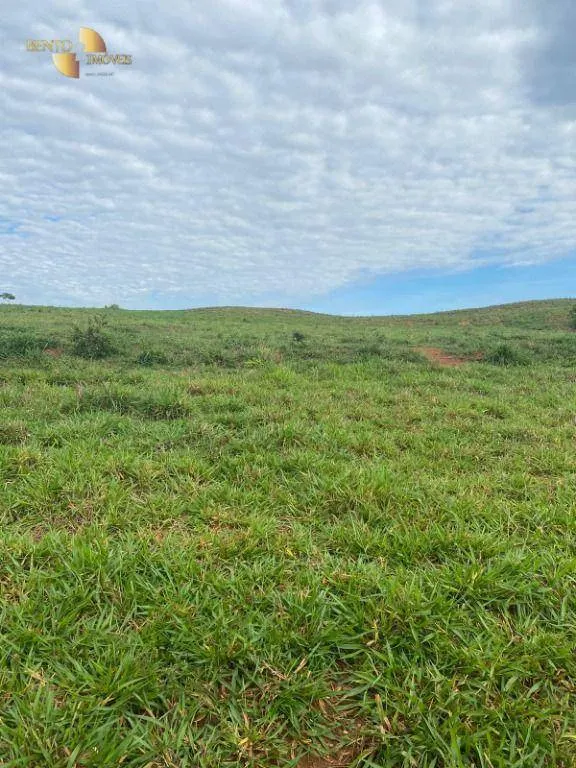 Farm for sale of 741 acres in Diamantino, MT, Brazil