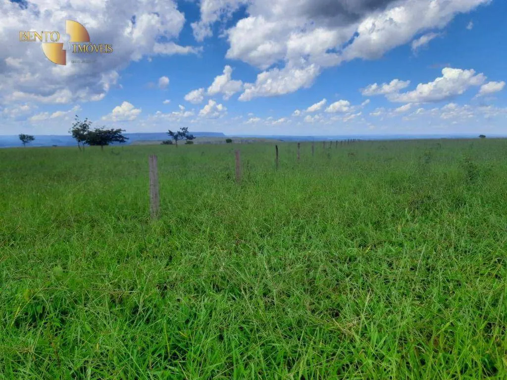 Fazenda à venda de 300 ha em Diamantino, MT, Brasil