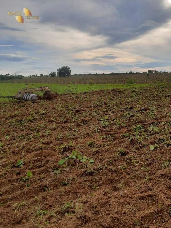 Farm for sale of 741 acres in Diamantino, MT, Brazil