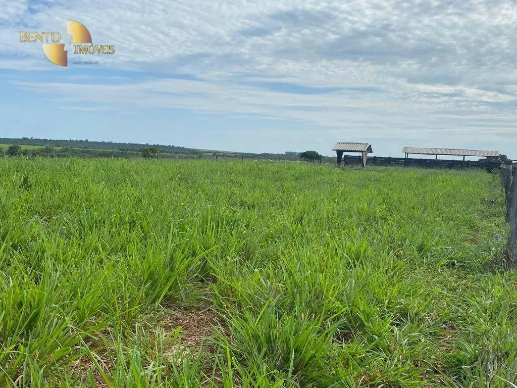 Farm for sale of 741 acres in Diamantino, MT, Brazil