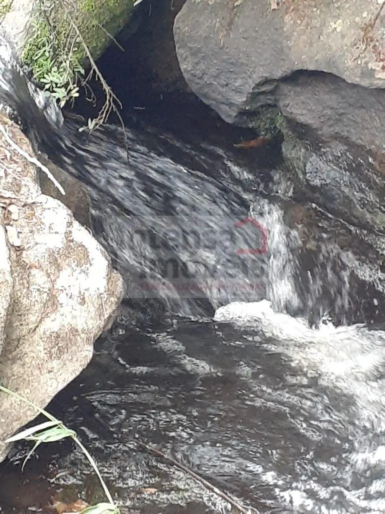 Sítio à venda de 3 ha em Cunha, SP, Brasil