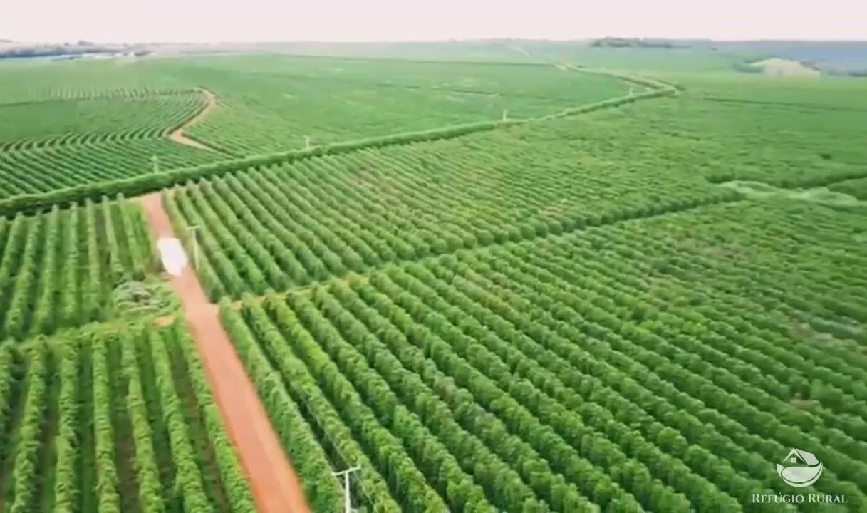 Farm for sale of 964 acres in Patos de Minas, MG, Brazil