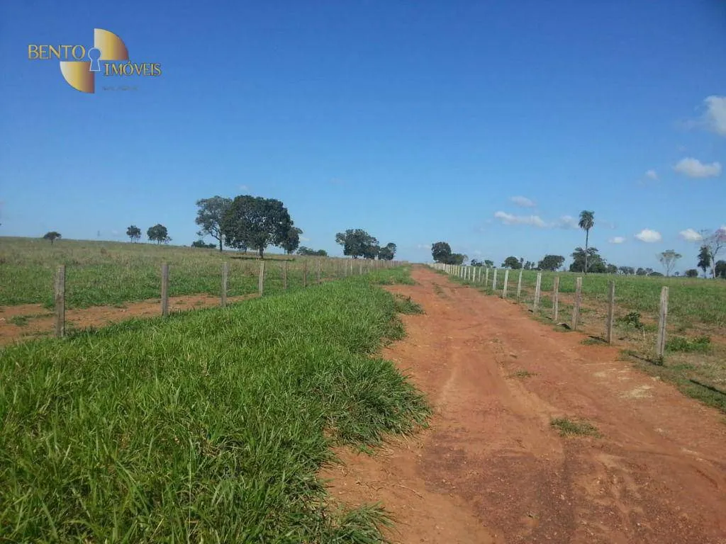 Fazenda à venda de 697 ha em Poconé, MT, Brasil