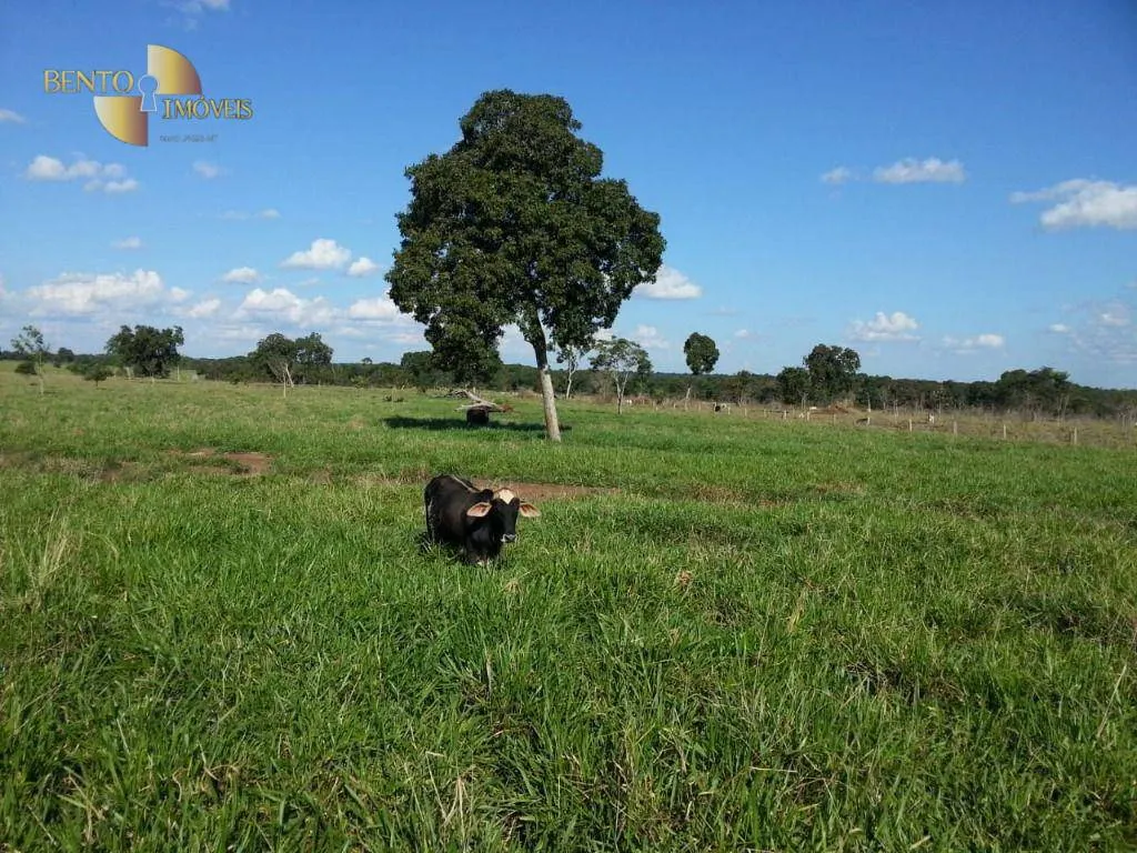 Fazenda à venda de 697 ha em Poconé, MT, Brasil