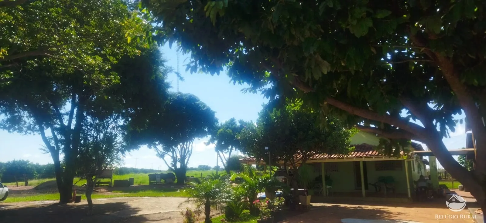 Small farm for sale of 8 acres in Frutal, MG, Brazil
