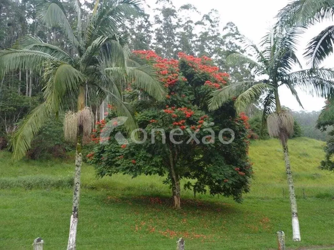 Fazenda à venda de 149 ha em São José dos Campos, SP, Brasil