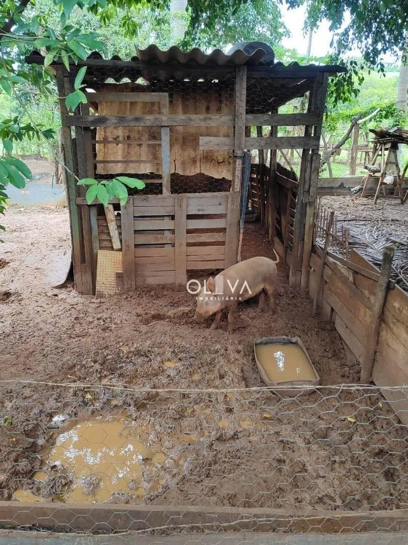 Sítio à venda de 19 ha em São José do Rio Preto, SP, Brasil