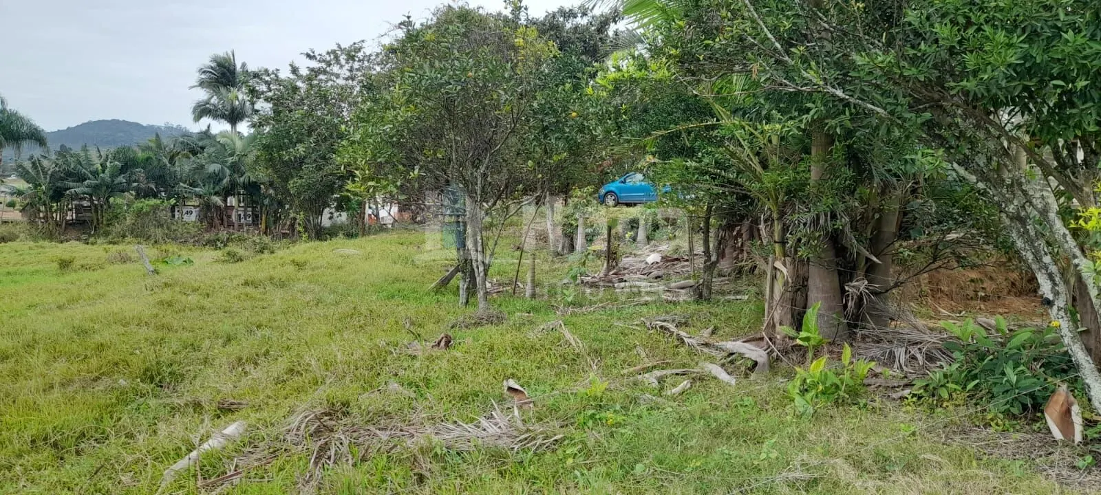 Farm for sale of 3,500 m² in Canelinha, SC, Brazil