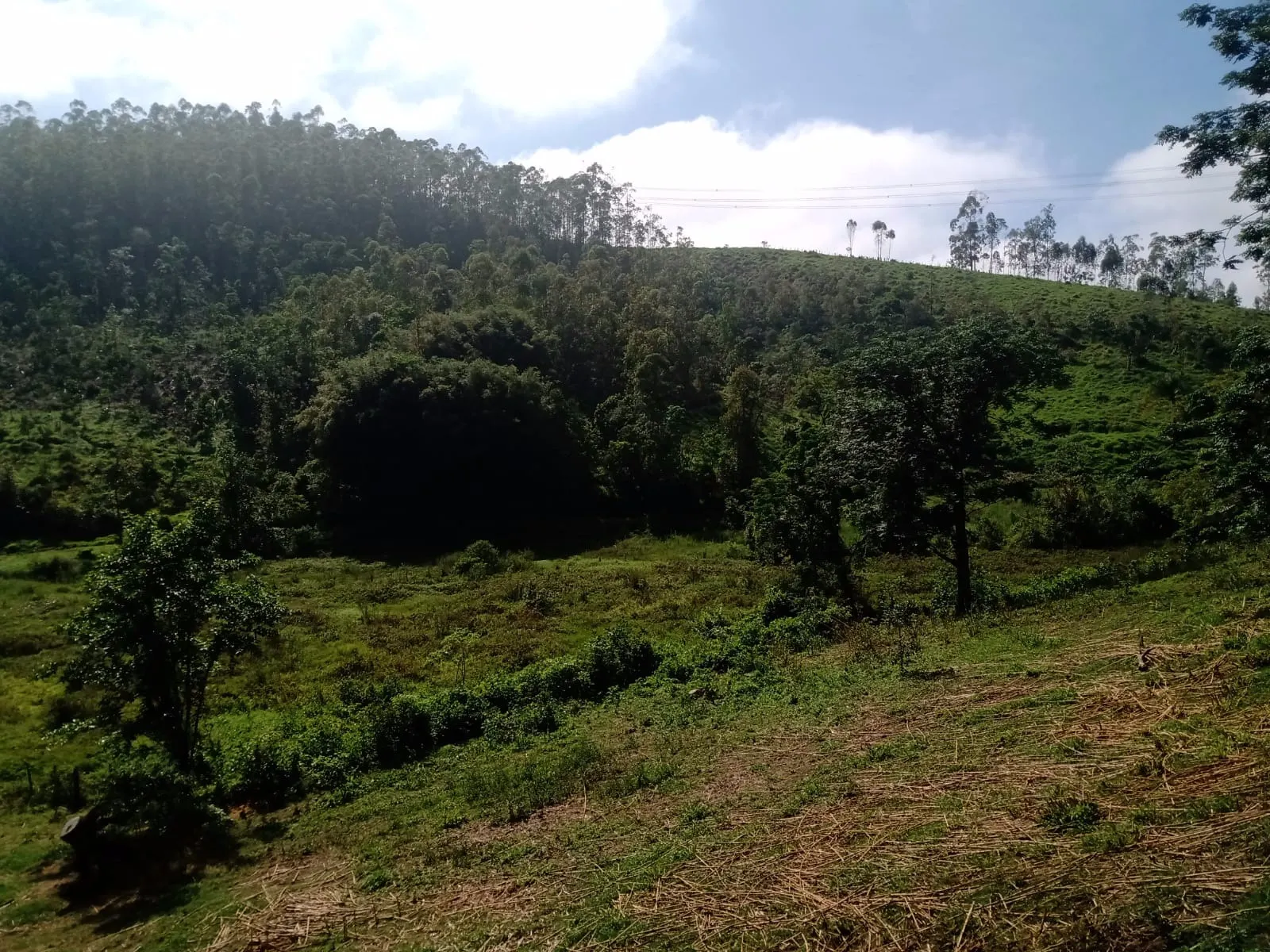 Plot for sale of 150 acres in São José dos Campos, SP, Brazil