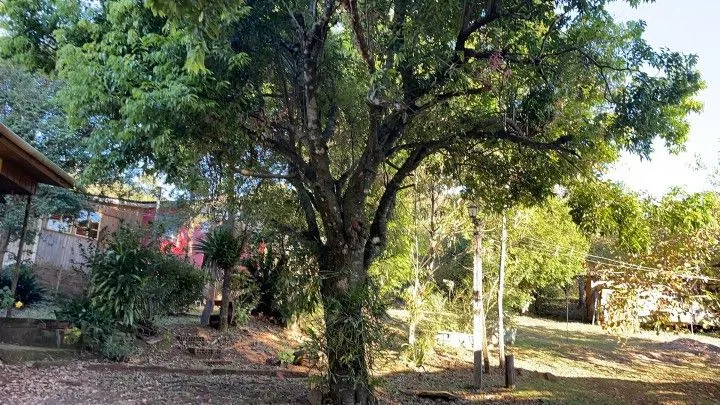 Country home for sale of 6 acres in Caraá, RS, Brazil