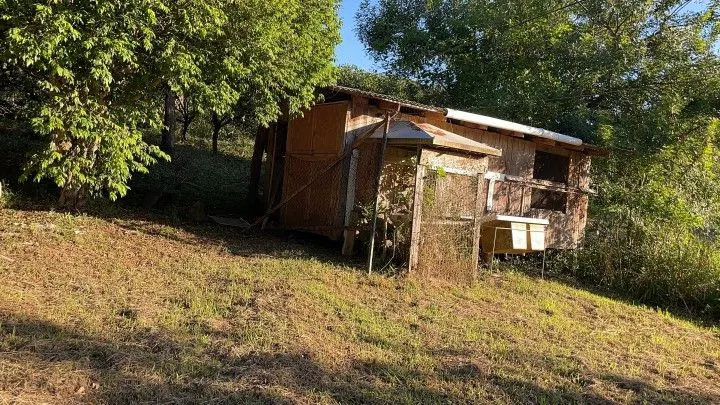Country home for sale of 6 acres in Caraá, RS, Brazil