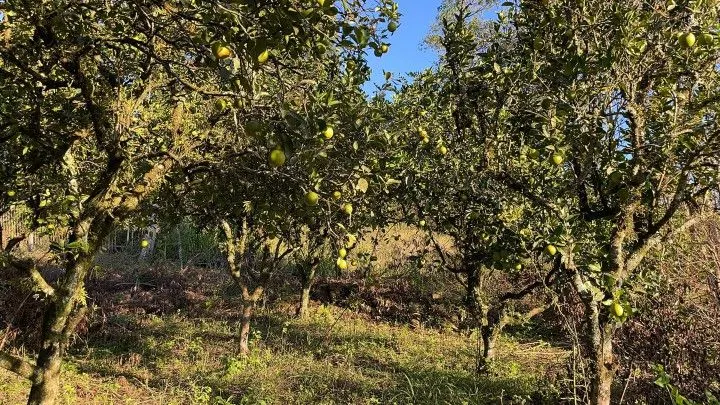 Country home for sale of 6 acres in Caraá, RS, Brazil