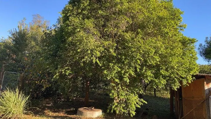 Country home for sale of 6 acres in Caraá, RS, Brazil