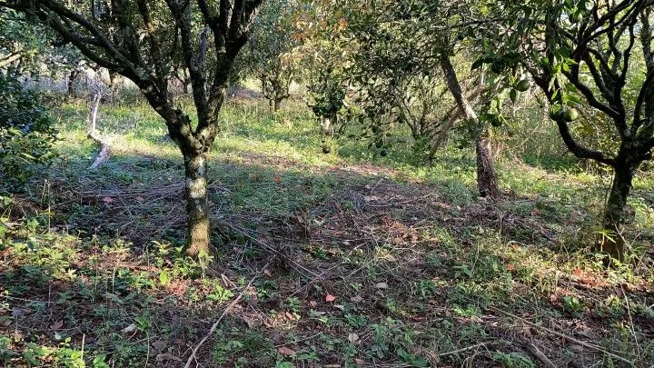 Country home for sale of 6 acres in Caraá, RS, Brazil