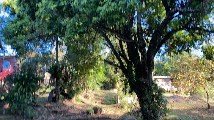 Country home for sale of 6 acres in Caraá, RS, Brazil