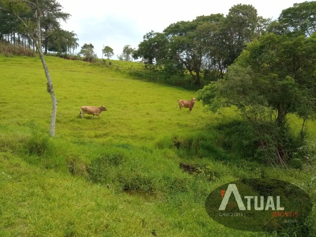 Chácara à venda de 3 ha em Atibaia, SP, Brasil