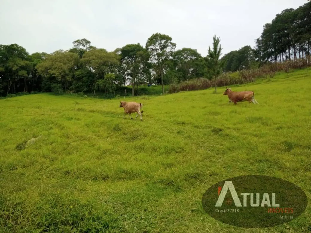 Chácara à venda de 3 ha em Atibaia, SP, Brasil