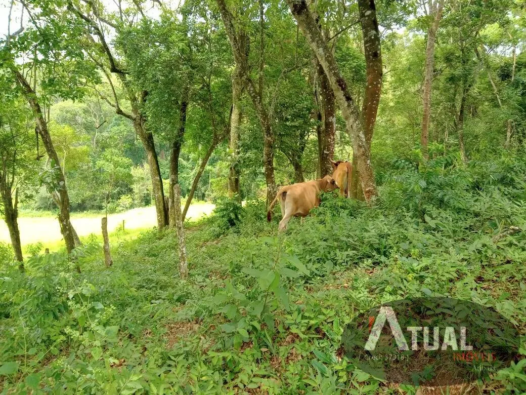 Chácara à venda de 3 ha em Atibaia, SP, Brasil