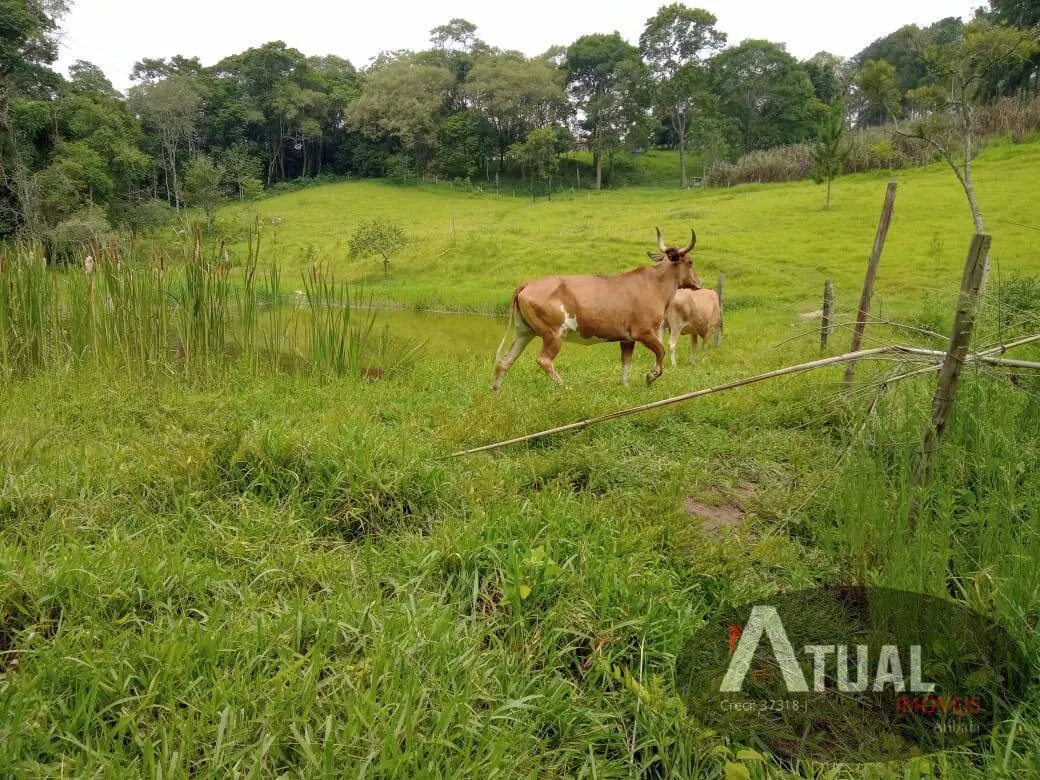 Chácara à venda de 3 ha em Atibaia, SP, Brasil