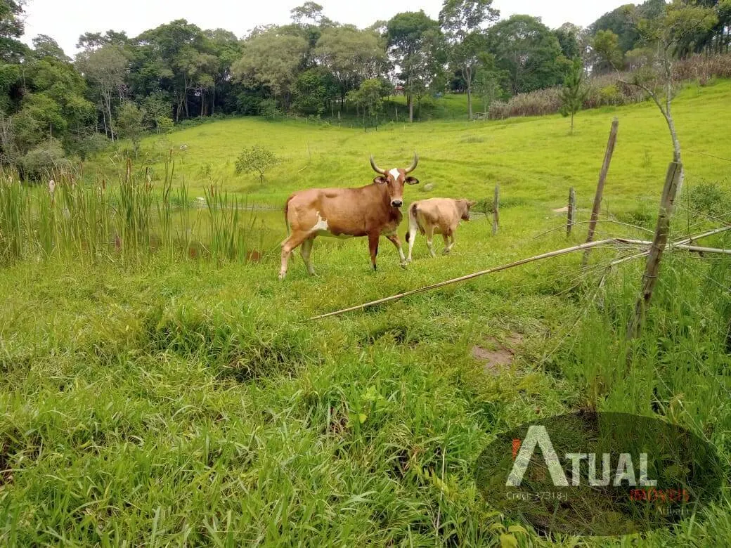 Chácara à venda de 3 ha em Atibaia, SP, Brasil