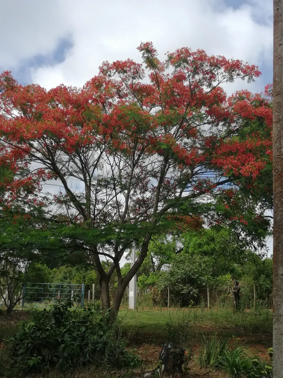 Country home for sale of 12 acres in Itapetininga, SP, Brazil