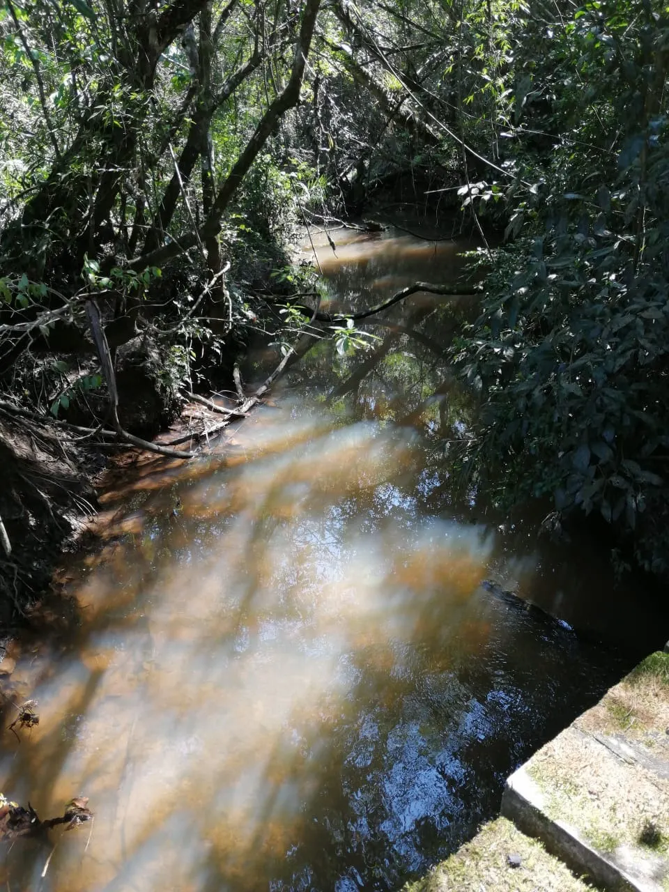 Country home for sale of 12 acres in Itapetininga, SP, Brazil
