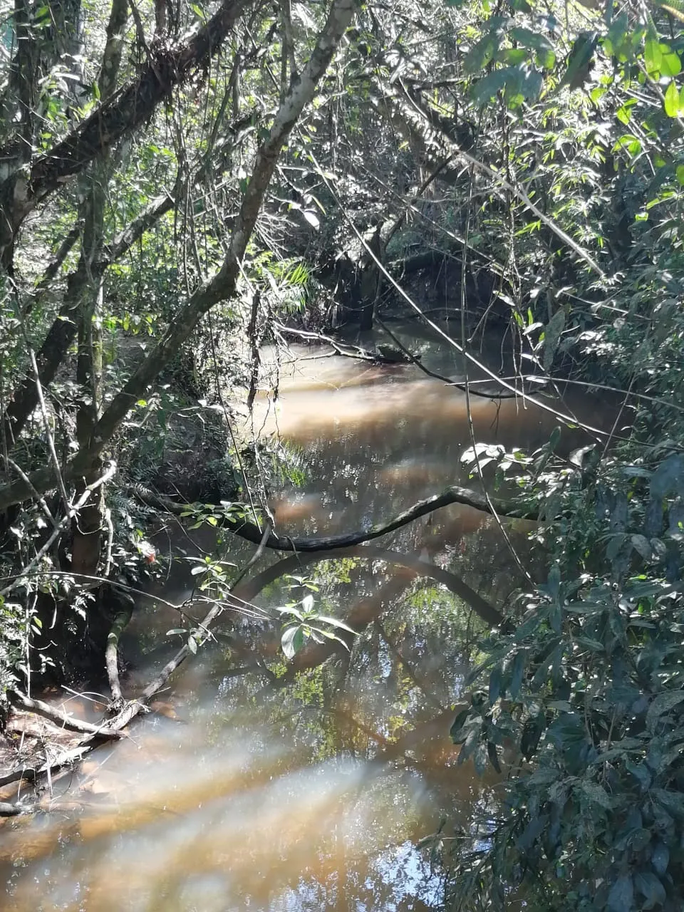 Country home for sale of 12 acres in Itapetininga, SP, Brazil
