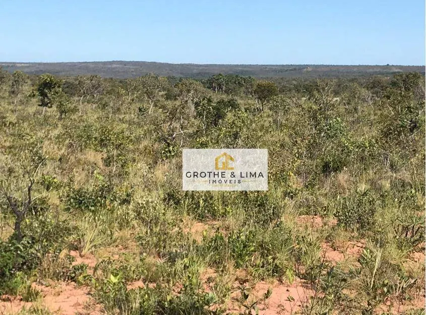 Fazenda à venda de 2.100 ha em Ponte Alta do Tocantins, TO, Brasil