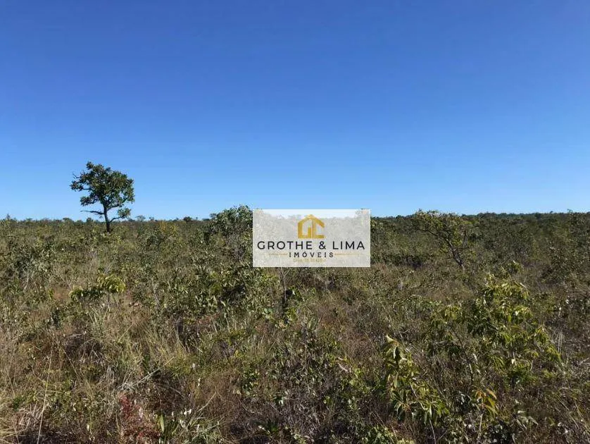 Fazenda à venda de 2.100 ha em Ponte Alta do Tocantins, TO, Brasil