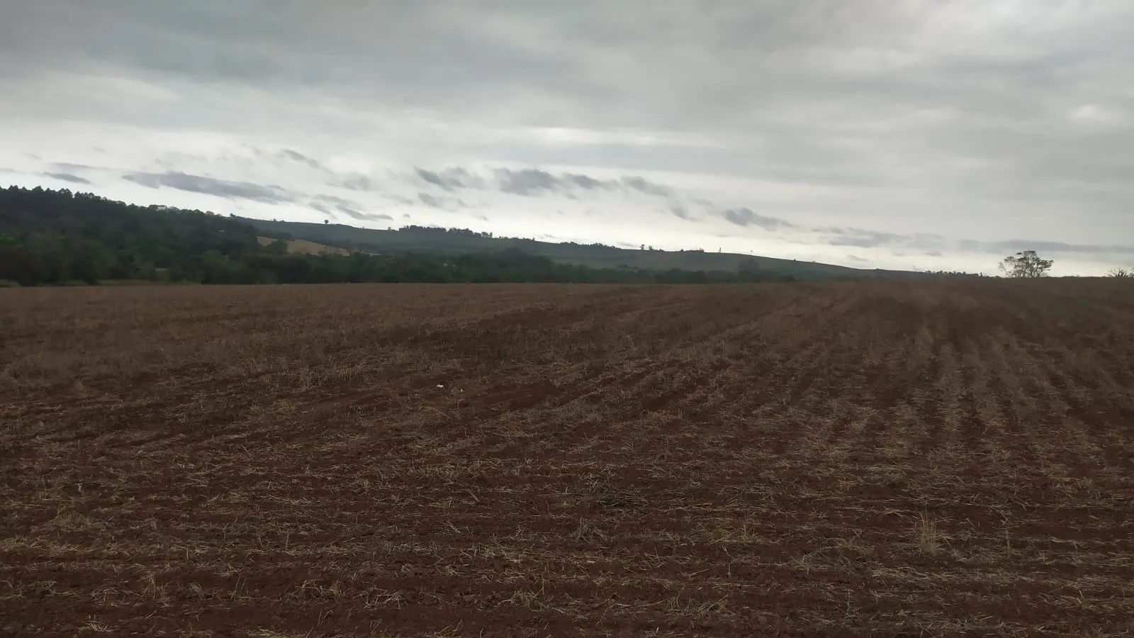 Fazenda à venda de 29 ha em Itapetininga, SP, Brasil