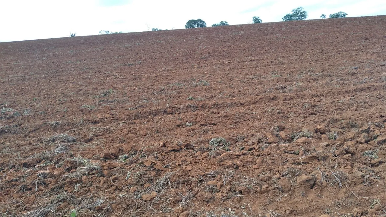 Fazenda à venda de 29 ha em Itapetininga, SP, Brasil