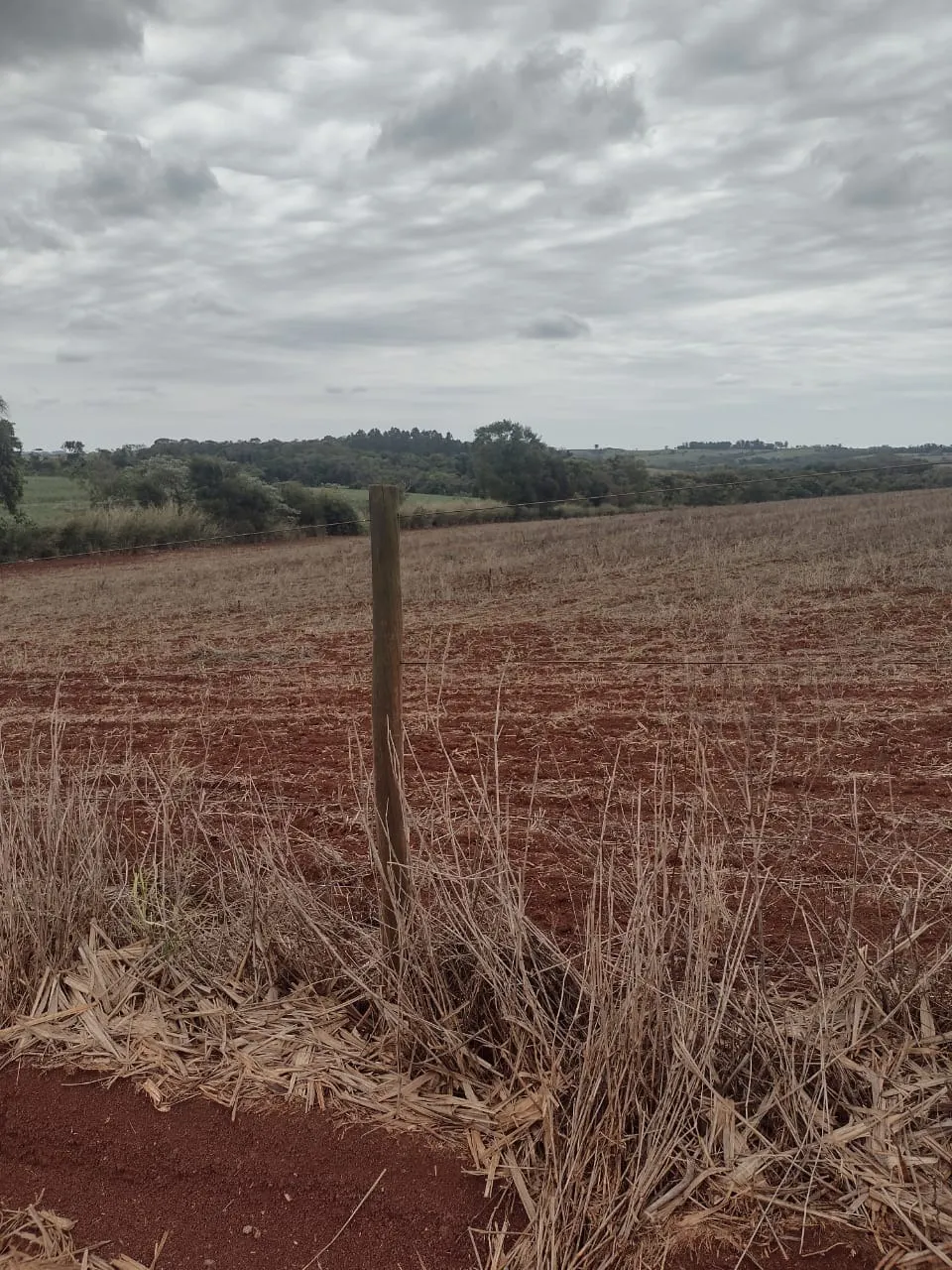 Fazenda à venda de 29 ha em Itapetininga, SP, Brasil