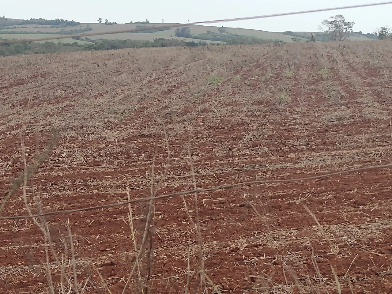 Fazenda à venda de 29 ha em Itapetininga, SP, Brasil