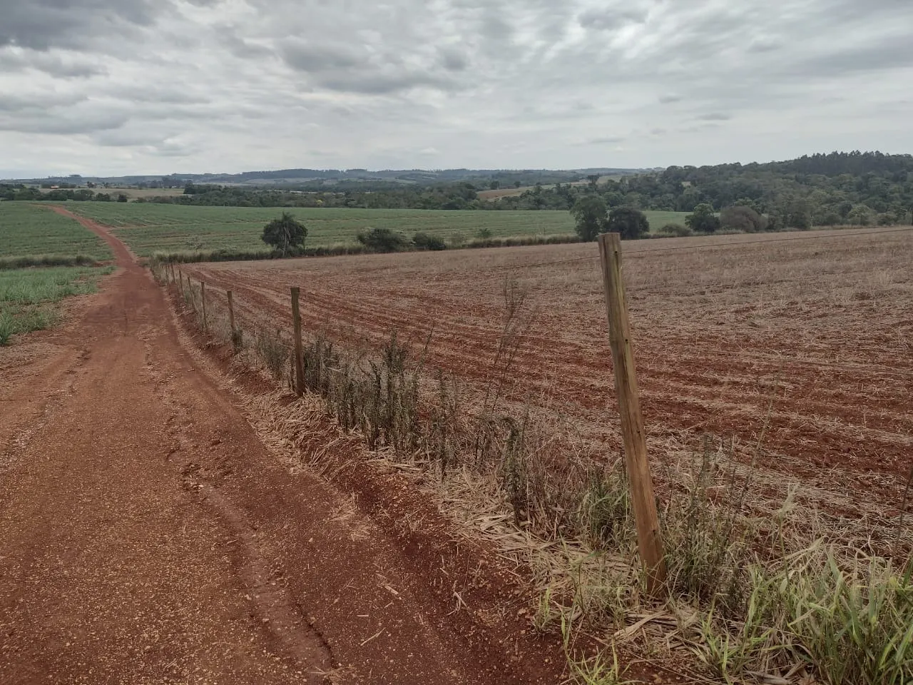 Fazenda à venda de 29 ha em Itapetininga, SP, Brasil