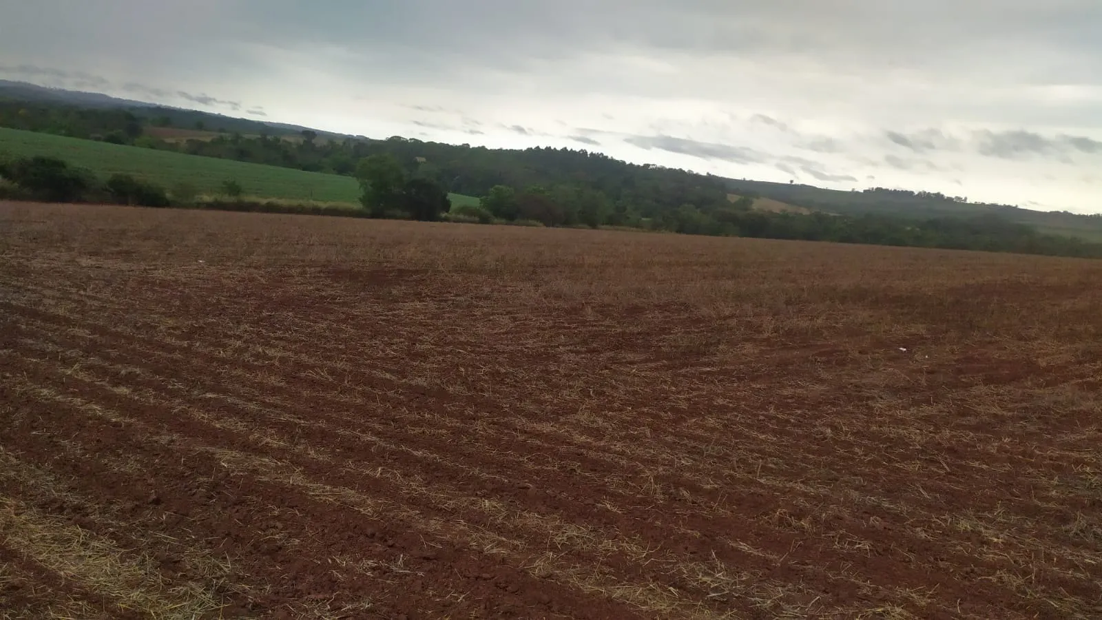 Fazenda à venda de 29 ha em Itapetininga, SP, Brasil
