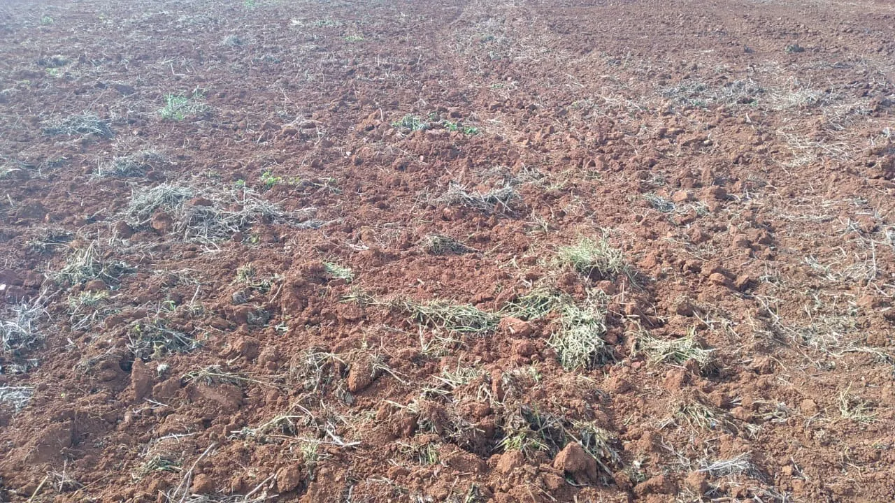 Fazenda à venda de 29 ha em Itapetininga, SP, Brasil