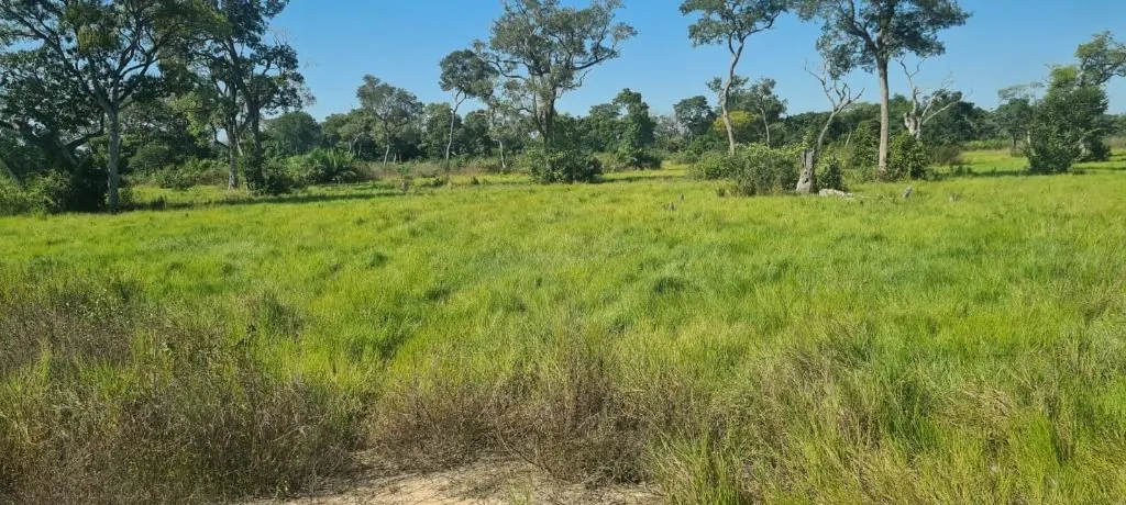 Fazenda à venda de 16.400 ha em Poconé, MT, Brasil