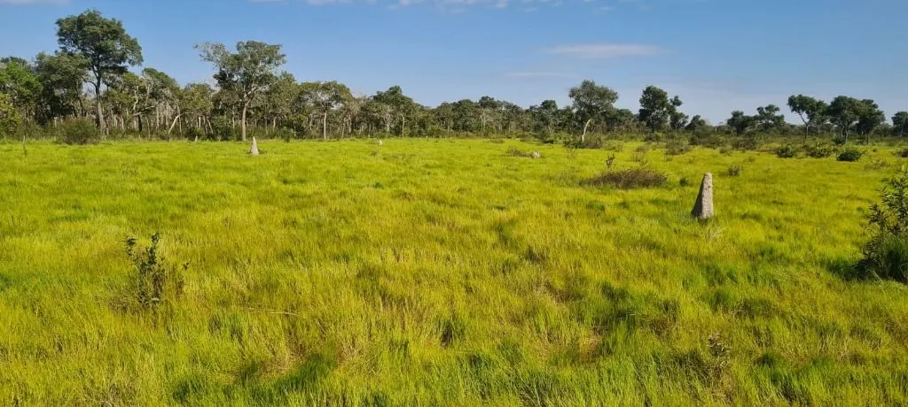 Fazenda à venda de 16.400 ha em Poconé, MT, Brasil