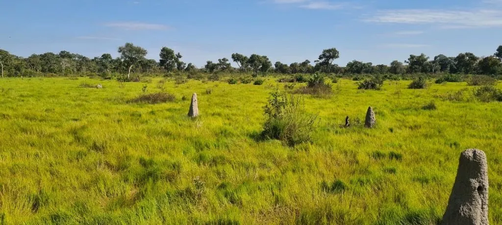 Fazenda à venda de 16.400 ha em Poconé, MT, Brasil