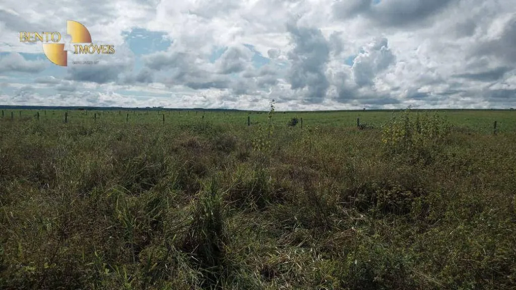 Fazenda à venda de 3.030 ha em Itiquira, MT, Brasil