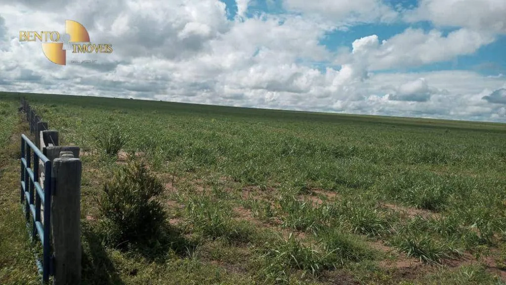 Fazenda à venda de 3.030 ha em Itiquira, MT, Brasil