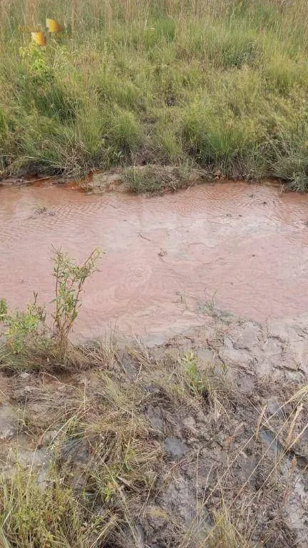 Fazenda à venda de 3.030 ha em Itiquira, MT, Brasil