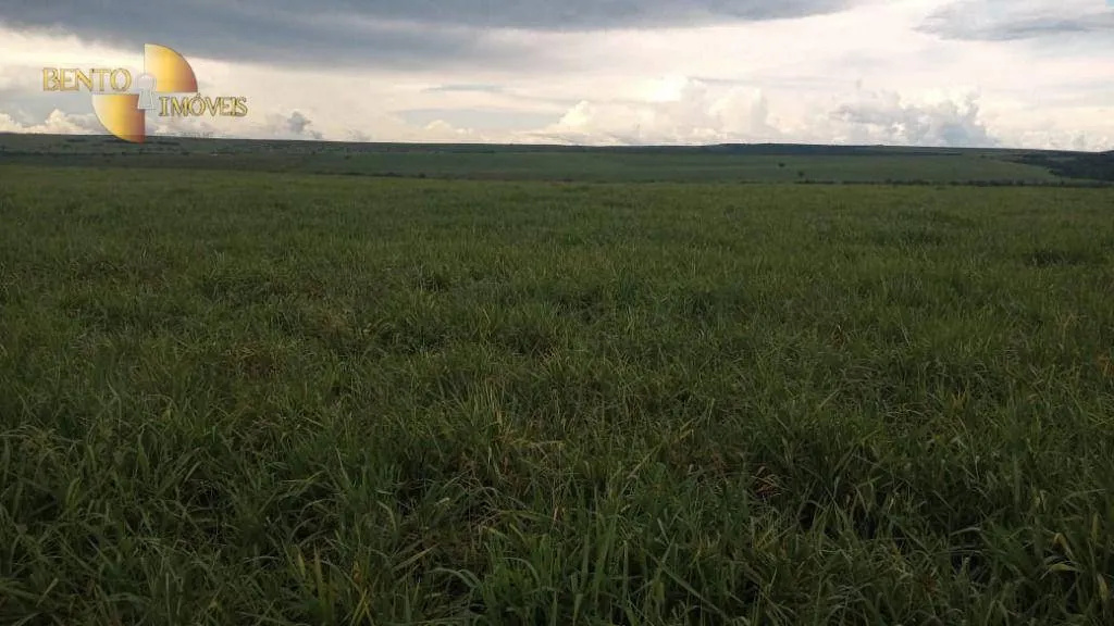 Fazenda à venda de 3.030 ha em Itiquira, MT, Brasil