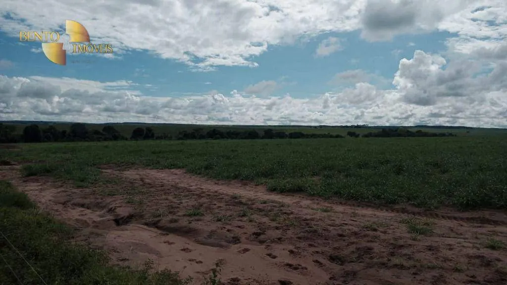 Fazenda à venda de 3.030 ha em Itiquira, MT, Brasil