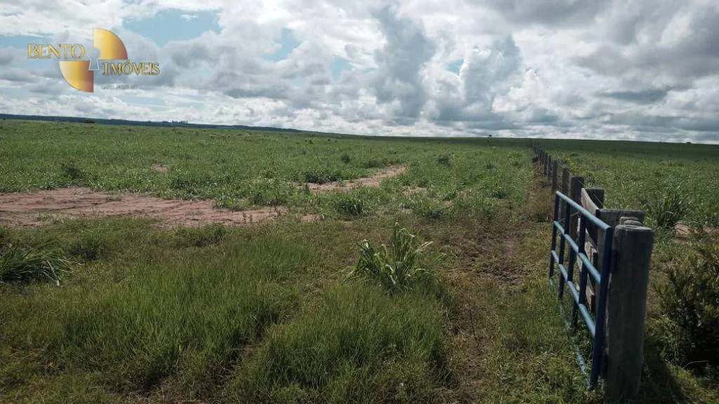 Fazenda à venda de 3.030 ha em Itiquira, MT, Brasil