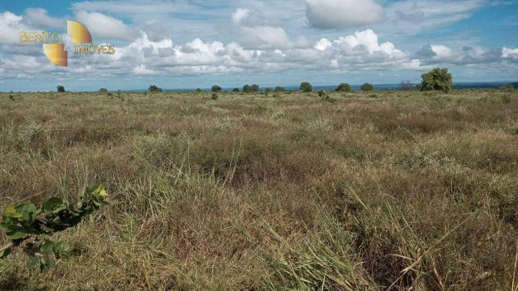 Fazenda à venda de 3.030 ha em Itiquira, MT, Brasil