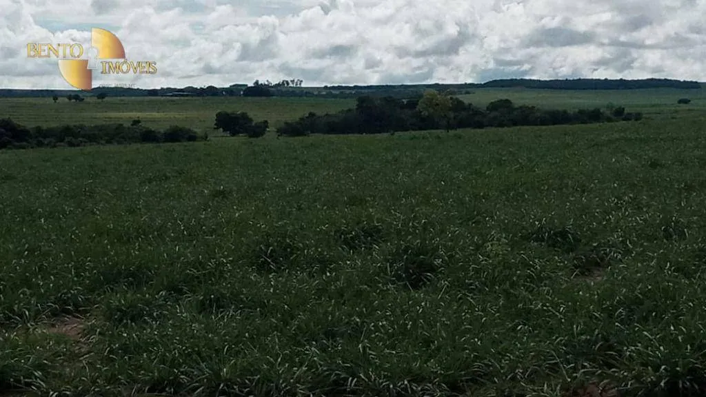 Fazenda à venda de 3.030 ha em Itiquira, MT, Brasil