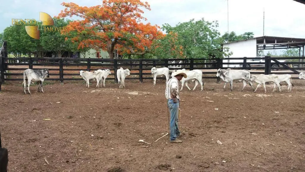 Fazenda à venda de 1.659 ha em Cuiabá, MT, Brasil