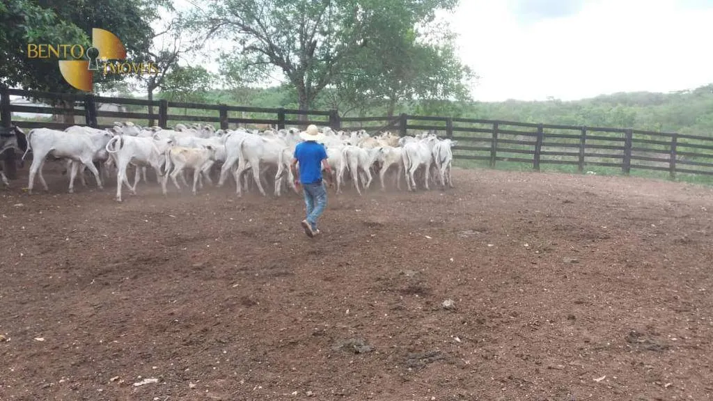 Fazenda à venda de 1.659 ha em Cuiabá, MT, Brasil